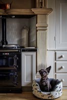 Pet dog in bed by aga in classic kitchen