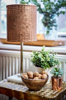 Copper effect lampshade and houseplants on side table 