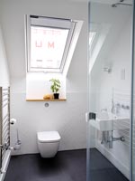Modern bathroom with skylight window 