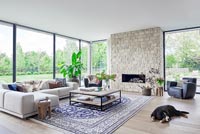Pet dog in modern living room with full glazed wall with views to garden 