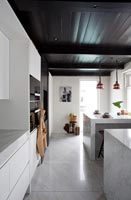 Contemporary monochrome kitchen 