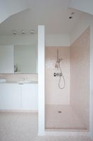 Shower in bathroom with pink tiling 