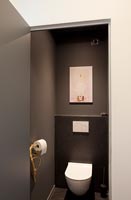 Toilet with dark grey painted walls 