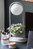 Modern lamp with plant holder in one 