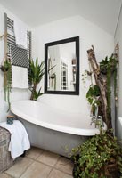 Bathroom with houseplants 
