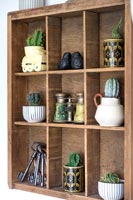 Shelf unit with potted cactus and collectibles on display