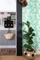 House plant in decorative basket by green wallpapered wall 