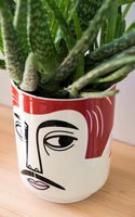 Novelty plant pot with face