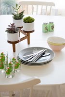 Tiny plant pots on modern dining table 