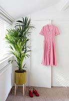 Built-in wardrobe with vintage gingham dress and large houseplant