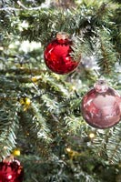 Baubles on Christmas tree 