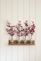 Wall mounted vases with Christmas berry display 