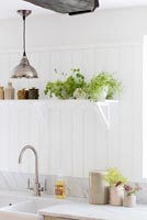 Shelf with houseplants in modern country kitchen 