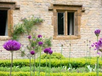 Traditional Cotswold stone home with alliums in garden 