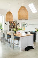 Pet dog lying by large island in modern kitchen 