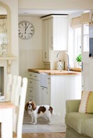 King Charles spaniel in country kitchen 