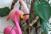 Close up house plant and toy flamingos 