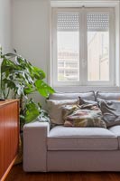 Sofa in modern living room