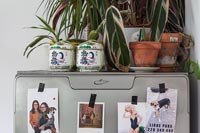 Houseplants on top of fridge freezer covered in family photos 