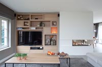 Wall unit in modern living room 