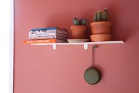 Basic shelf with cactus 