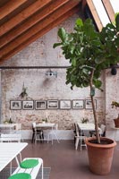 Dining room with large plant