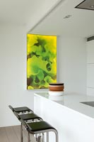 Colourful picture of lettuce in contemporary kitchen 