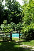 Garden and swimming pool