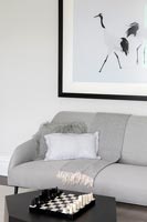 Modern gray sofa