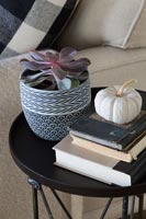 Potted succulent plant and white pumpkin on side table with books 