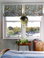 Windows with Roman blinds