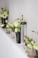 Collection of tiny vases on shelf with cream flowers 