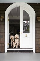Traditional front door with pet dogs