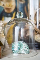 Decorative sea shell under glass bell jar