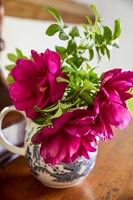 Country flowers in a jug 
