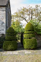 Topiary either side of garden gate 