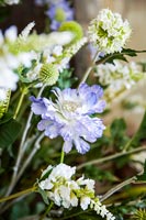 Flower arrangement - detail 
