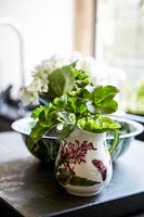 Country flowers in vintage jug and bowl 