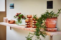 Terracotta plant pot on marble shelf 