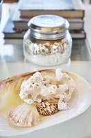 Seashells and coral on table 