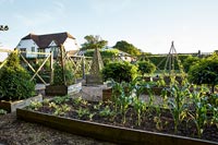 Country house with vegetable garden 
