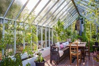 Inside greenhouse 