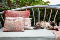 Cat sleeping on outdoor bench 