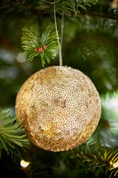 Close up Christmas decoration on tree 