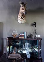 Zebra head on wall in eclectic kitchen