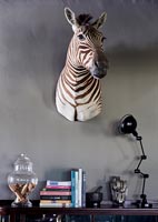 Zebra head on wall  