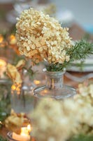 Cream dried hydrangea flowers in glass bottle vase 