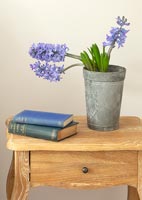 Blue hyacinths in metal pot and books on bedside table 