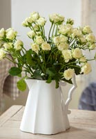 White jug of roses 