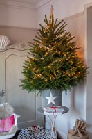 Christmas tree in metal pot with star decoration 